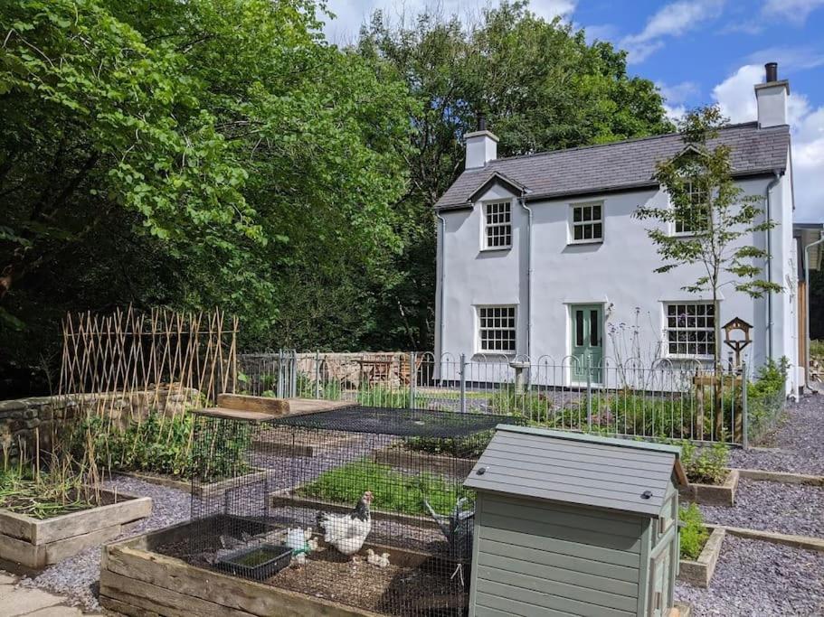 Riverside Cottage Walking Distance Into Caernarfon Extérieur photo